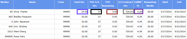 Worker Contract Performance Report